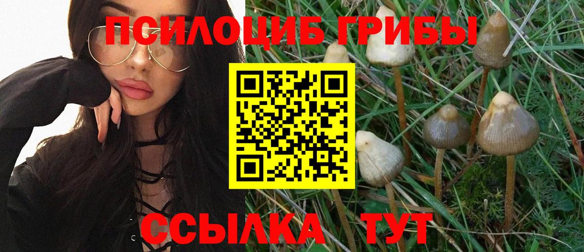 Галлюциногенные грибы Psilocybe  Вход с VPN  Новосибирск 