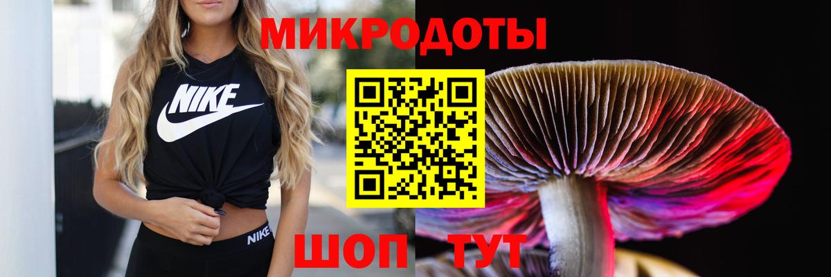 Псилоцибиновые грибы Psilocybine cubensis Новосибирск